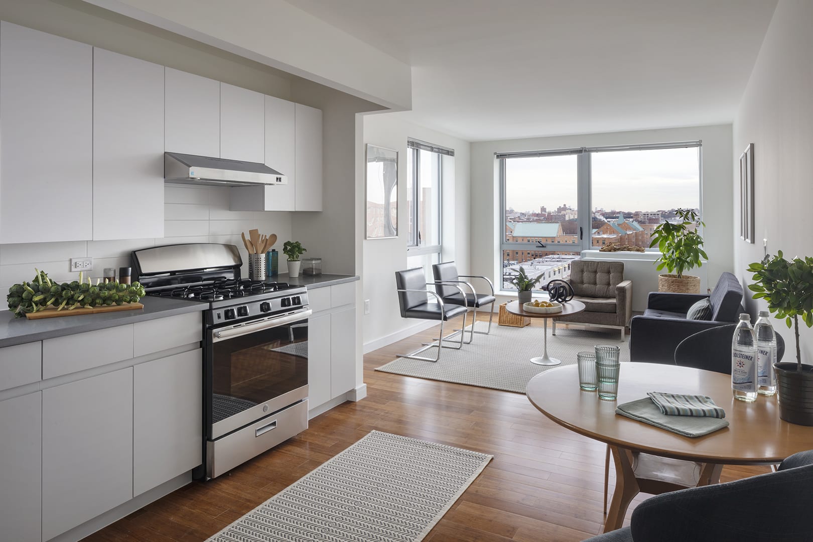 Livonia Avenue Apartments; MAP; Brooklyn, NY NYHC